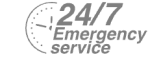 24/7 Emergency Service Pest Control in Elephant & Castle, SE17. Call Now! 020 8166 9746